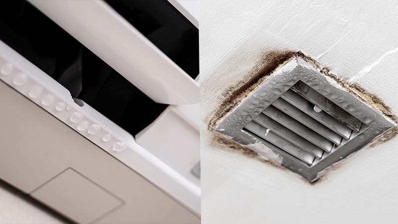 Clean HVAC vent next to a mold-stained vent caused by moisture and humidity